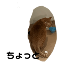 769167640