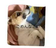 769170623