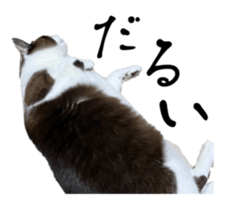 769179959