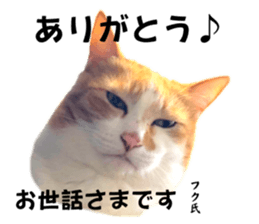 769181881