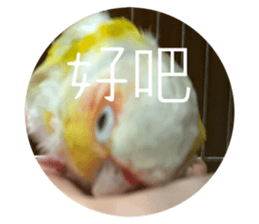 769206309