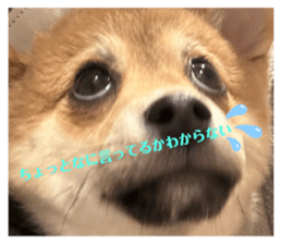 769207800