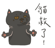769225177