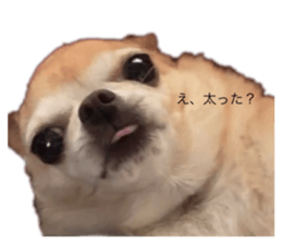 769230018