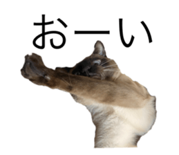 769231054