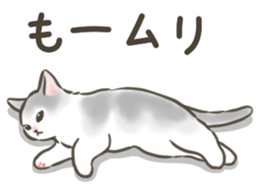 769235285