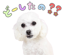 769238446