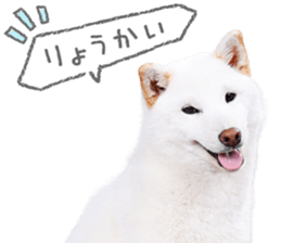 769238532