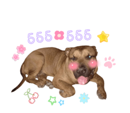 769242960