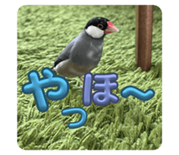 769244242