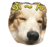 769256315