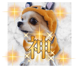 769265011
