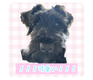 769265047