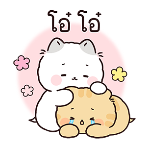 ลายที่ 11