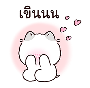 ลายที่ 11