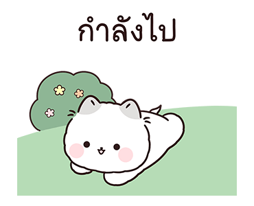 ลายที่ 13