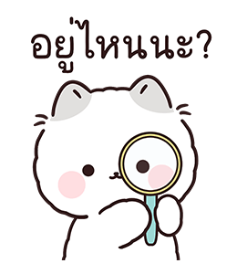 ลายที่ 27