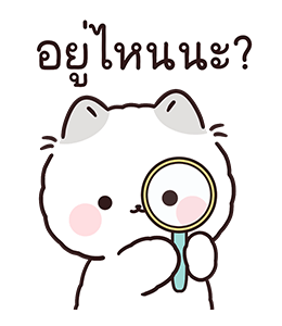 ลายที่ 14