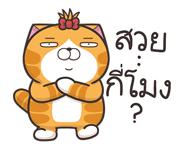 ลายที่ 5