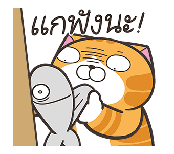 ลายที่ 11