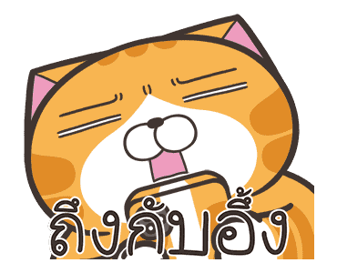 ลายที่ 13