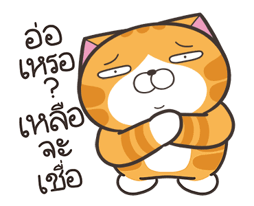 ลายที่ 15