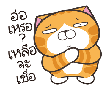 ลายที่ 8