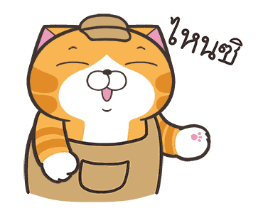 ลายที่ 17