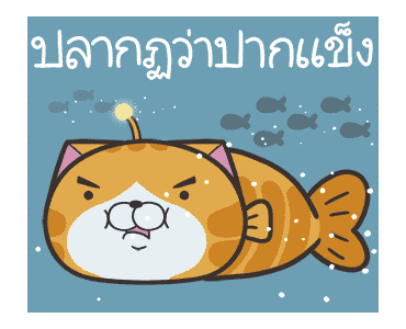 ลายที่ 19