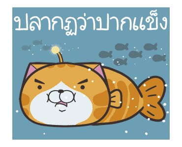 ลายที่ 10