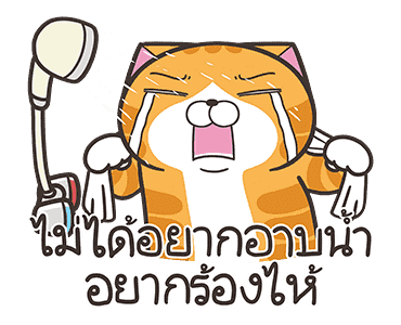 ลายที่ 21