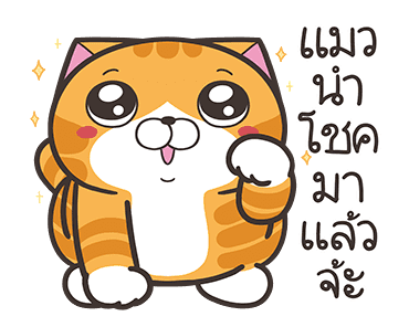 ลายที่ 25