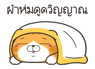 ลายที่ 29