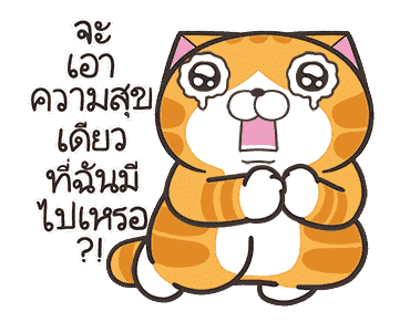 ลายที่ 31