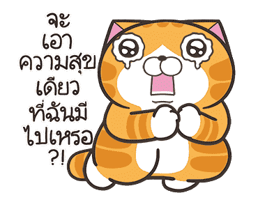 ลายที่ 16