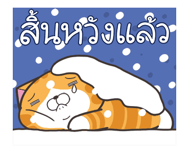 ลายที่ 33