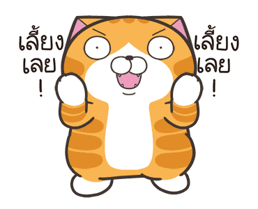 ลายที่ 35