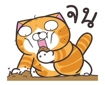 ลายที่ 37