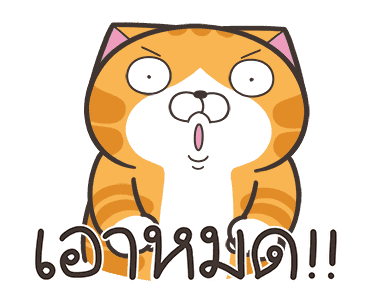 ลายที่ 39