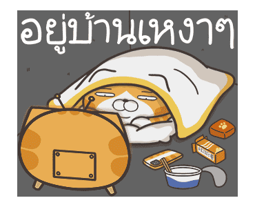 ลายที่ 47