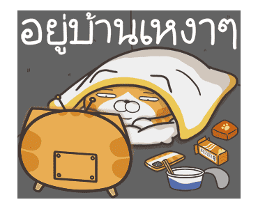 ลายที่ 24