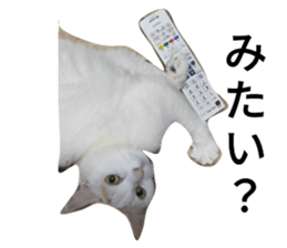 769276045