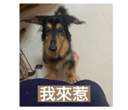 769284381