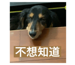 769284383