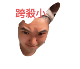 769285554