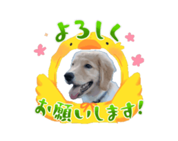 769289623