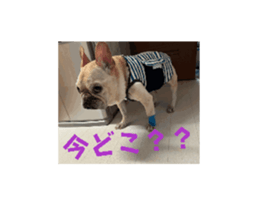 769290005