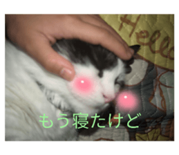 769294967