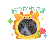 769295840