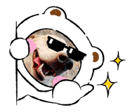 769298313